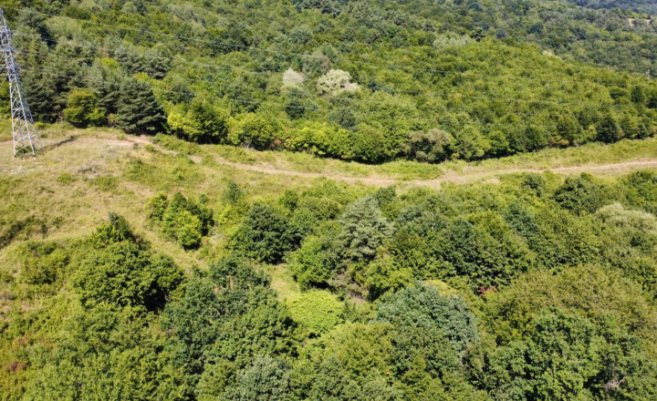 PREDAJ - Rekreačný pozemok na rekreačnú chatu 5963 m2 - FINTICE - fotografia 1