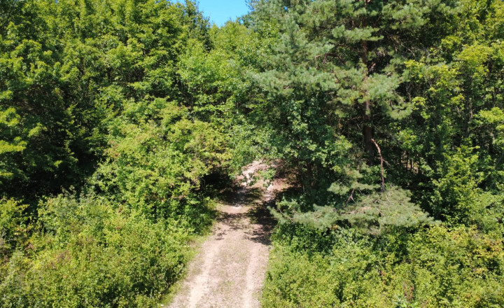 PREDAJ - Rekreačný pozemok na rekreačnú chatu 5963 m2 - FINTICE - fotografia 5
