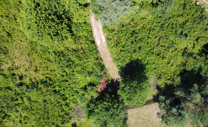 PREDAJ - Rekreačný pozemok na rekreačnú chatu 5963 m2 - FINTICE - fotografia 6