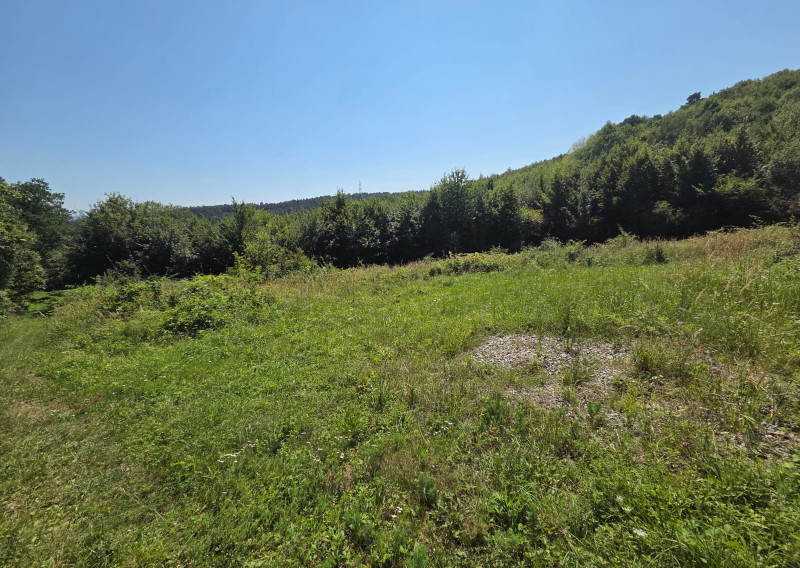 PREDAJ - Rekreačný pozemok 6694m2 - FINTICE