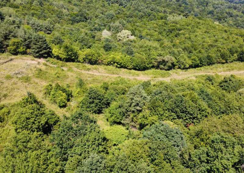 PREDAJ - Rekreačný pozemok na rekreačnú chatu 5963 m2 - FINTICE