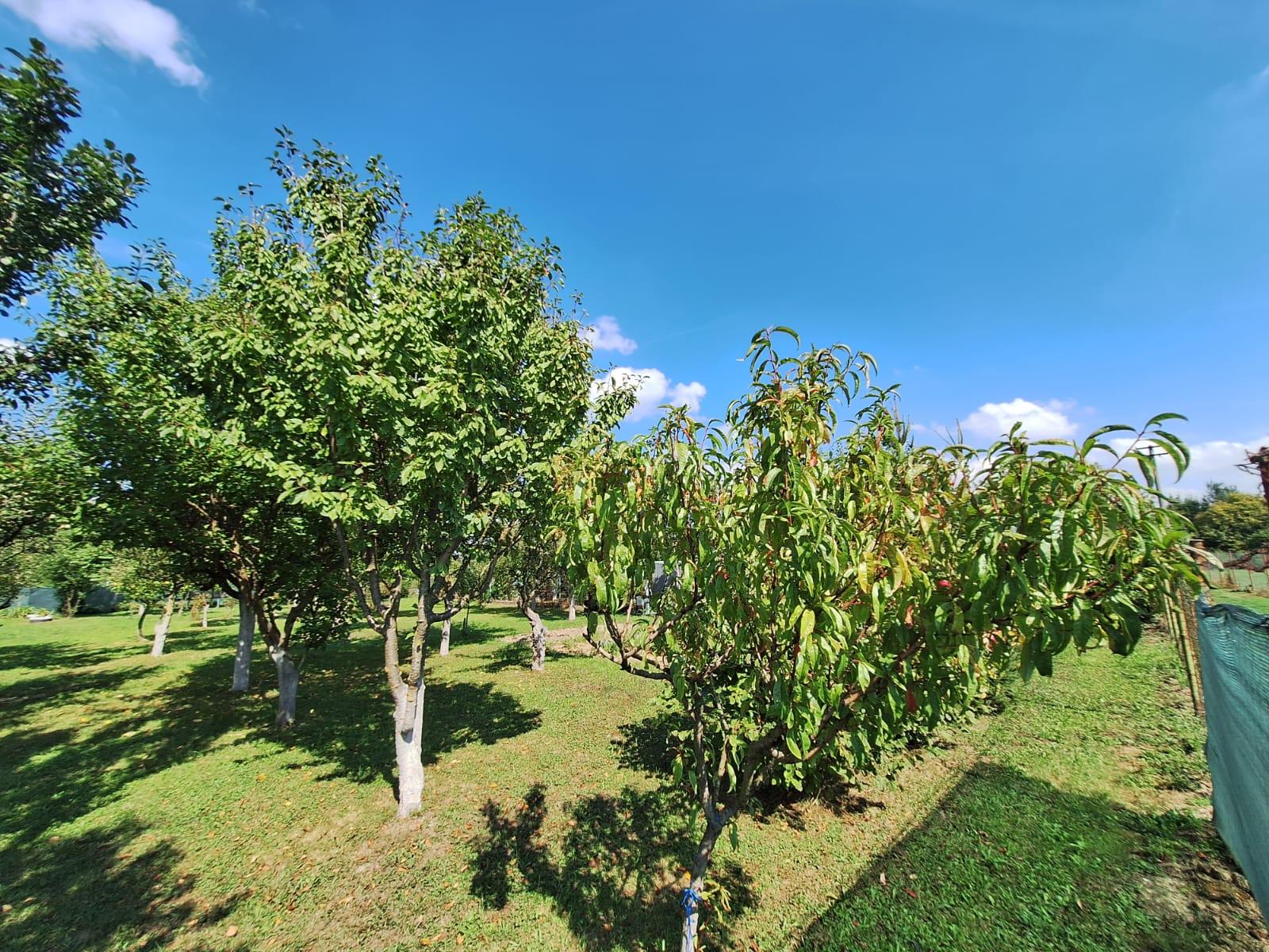 PREDAJ – Pozemok vhodný na výstavbu o rozlohe 822m2 – MICHALOVCE