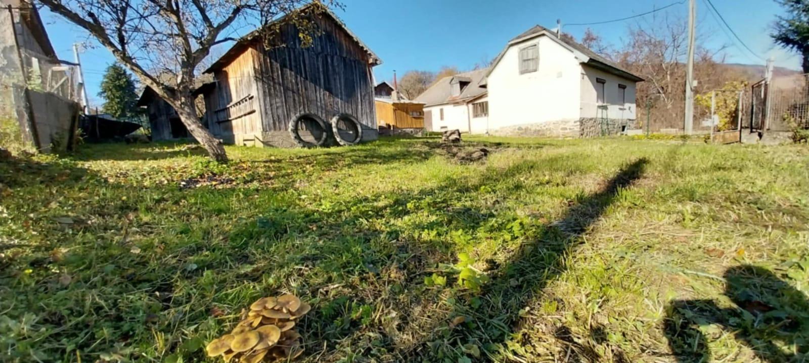 PREDAJ – Rodinný dom pri lese a prírode – REMETSKÉ HÁMRE okr.Sobrance