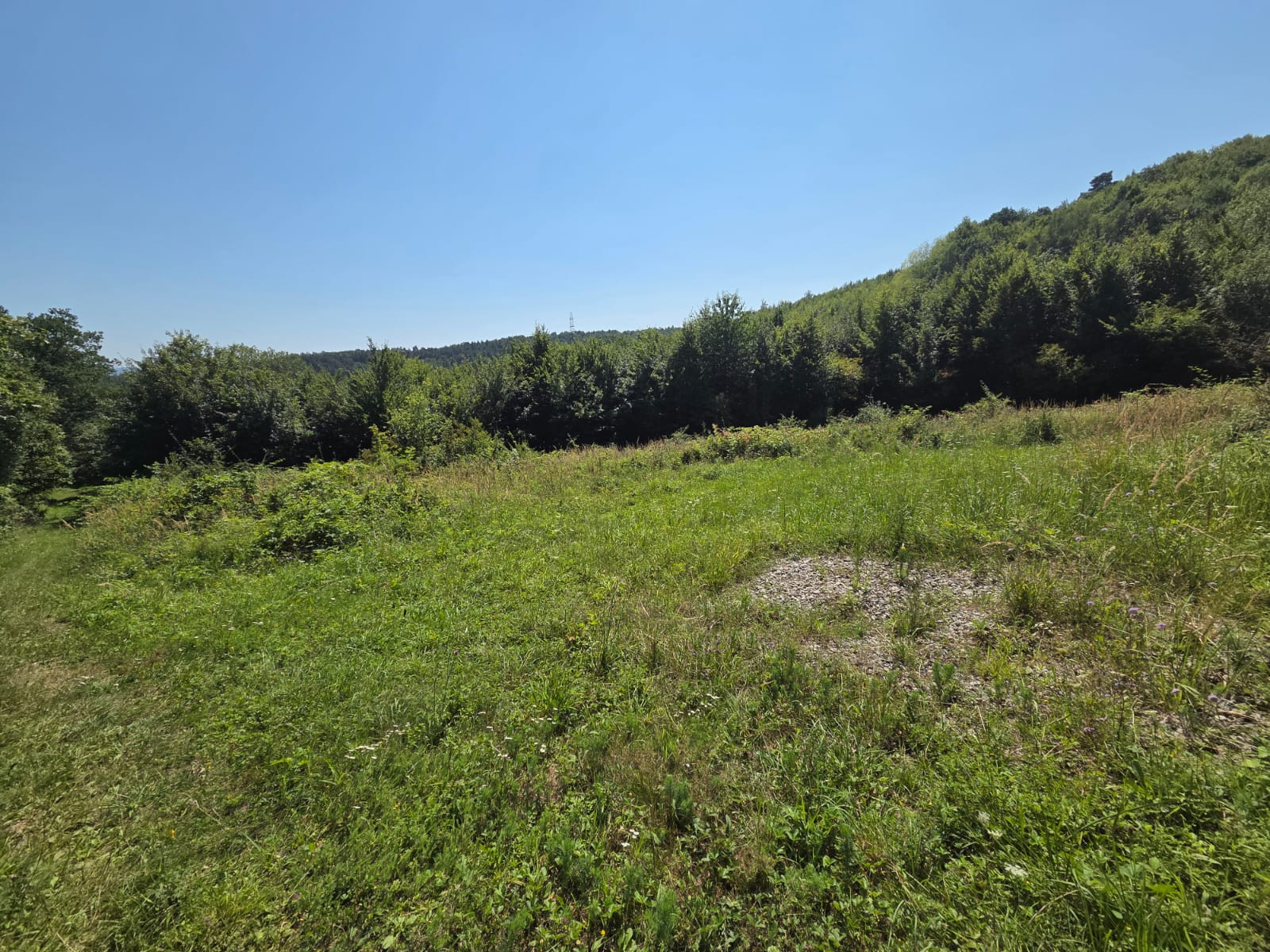 PREDAJ - Rekreačný pozemok 6694m2 - FINTICE