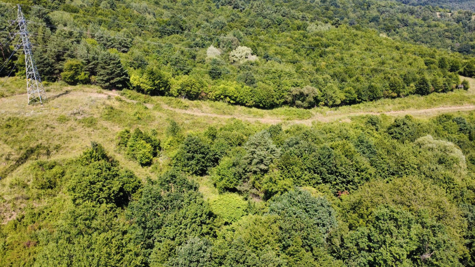 PREDAJ - Rekreačný pozemok na rekreačnú chatu 5963 m2 - FINTICE